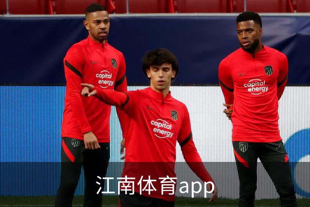 江南体育app公司简介图片